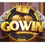 GOWIN ITCOM