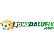 Bongda lu