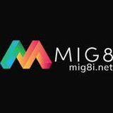 MIG 8