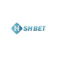 shbet8 ltd