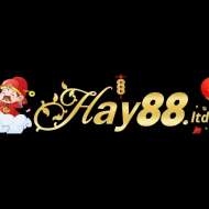 hay88 ltd