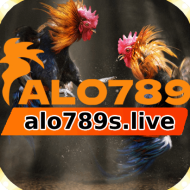 alo789 slive01