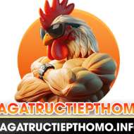 dagatructiepthomo info