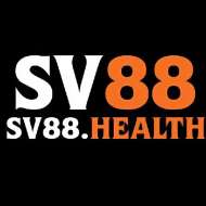 SV 88